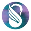 Swank Creative Inc. Logo