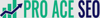 Pro Ace SEO Logo