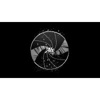 InsideAlx Logo
