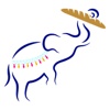 Bread and Circuses Inc. Logo