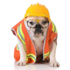 Bulldog-UK Ltd Logo
