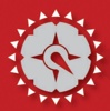 Real Estate Southeast, LLC Logo