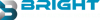 Bright Steel Logo
