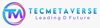 TecMetaverse Logo