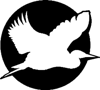 Beyond Growth Marketing Logo