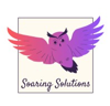 Soaring Solutions Logo