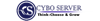 Cyboserver Logo