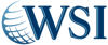 WSI DM Inc. Logo