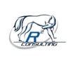 R2 Consulting, LLC Logo