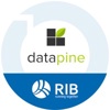 datapine Logo