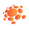 Dal Molin Consulting GmbH Logo