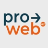 Proweb Software Company Logo