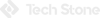 Tech Stone GLobal Logo