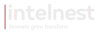 Intelnest Logo