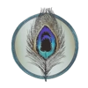 Booked Solid Copy Logo