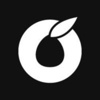 Appricott LLC Logo