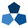 Biris Capital Partners Logo