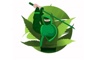 CBD Marketing Agency Logo
