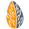 Wild Magnolia Creative LLC Logo