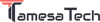 Tamesa Tech Logo