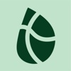 Trailmerge Logo