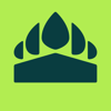 King Grizzly Logo