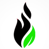 Anvika IT Solutions Logo
