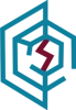 Red Spider Security Logo