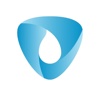 DetailAxis Logo