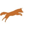 Fox Content Ltd. Logo