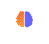 Cryptic Brain Technologies Logo