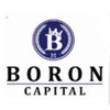 Boron Capital Logo
