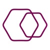 Virtual Executive Personal Assistants of America Logo