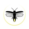 Firefly GHG Consulting Logo