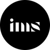 Immersive Strategies Logo
