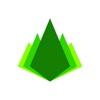 Design Tree Engineering and Land Surveying Logo