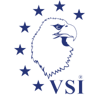 Veteran Solutions, Incorporated Logo