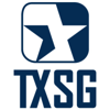 Texas Systems Group Logo