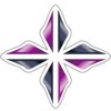 POSITIVE ACCOUNTING Logo