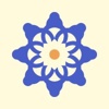 Estudio Cábex Logo