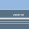 Buchstelle-Michaelis Logo