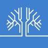 Boundary Street Advisors Logo