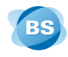 Biznes Serwis Sp. z o.o. Logo