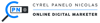 Cyrel Nicolas - SEO Specialist Freelancer Philippines Logo
