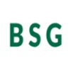 Berlin Sports Group Logo