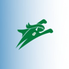 Brio Accounting LLC Logo