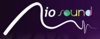 Rio Sound Produções Ltda Logo