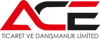 ACE Business & Consultancy Limited Company Logo