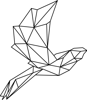 Northern Hawk Technologies Inc. Logo