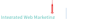 YPO Logo